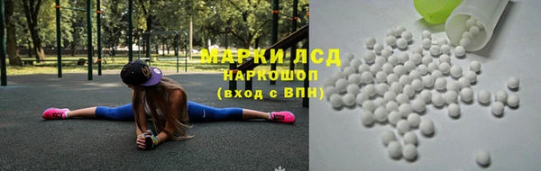 spice Вяземский