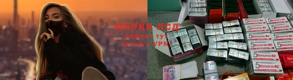 spice Вязьма