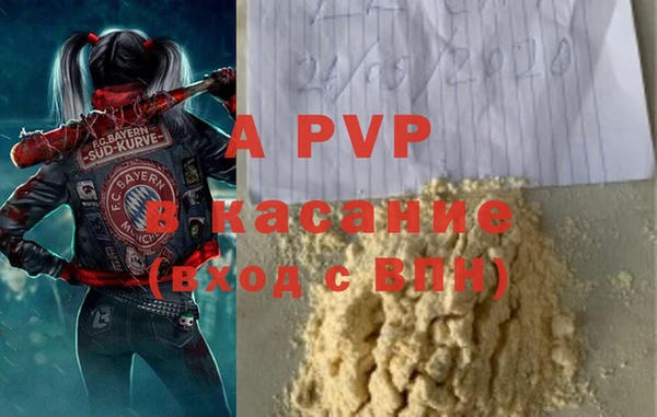 spice Вяземский